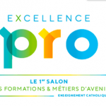 Salon Excellence Pro